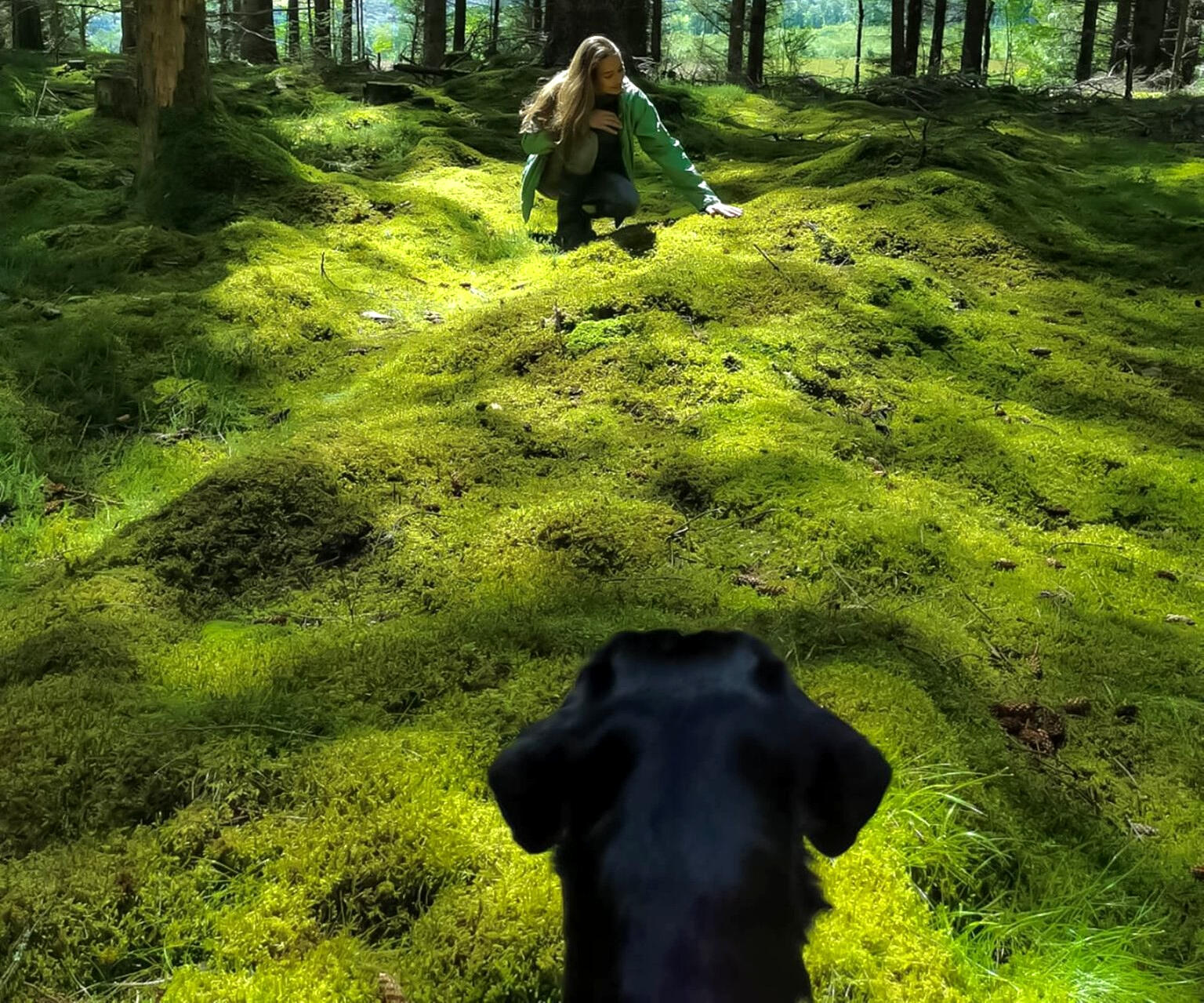 *Alive in look, preserved in time...*